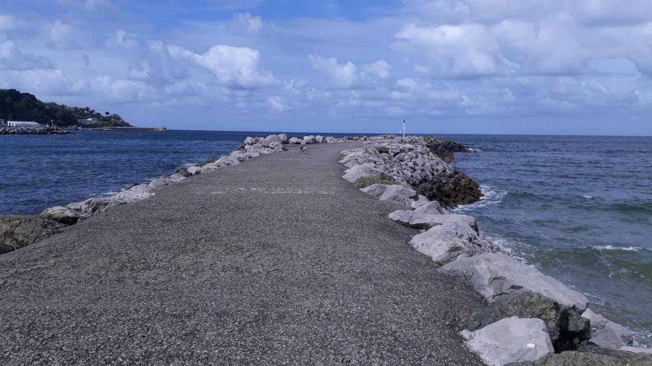Appartement Les Hirondelles 2Km Plage-Wifi-Jardin-Parking-Draps Et Serviettes Hendaye Buitenkant foto